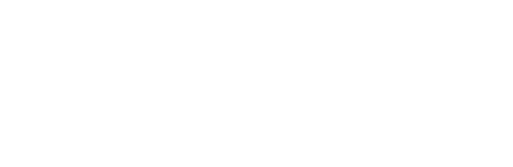 International Cranes & Specialized Transport