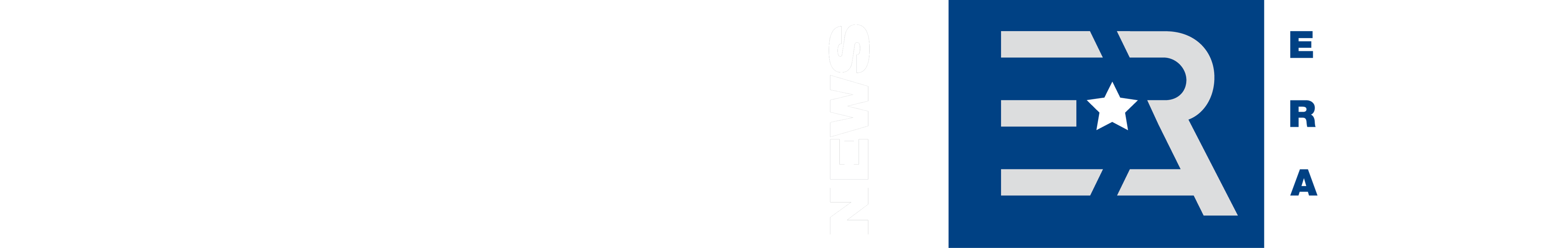 International Rental News Surveys German